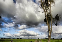 6686体育：中国轮椅击剑队收获团体项目两金央视网.