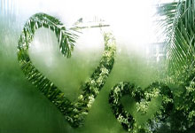 6686体育：中国轮椅击剑队收获团体项目两金央视网.